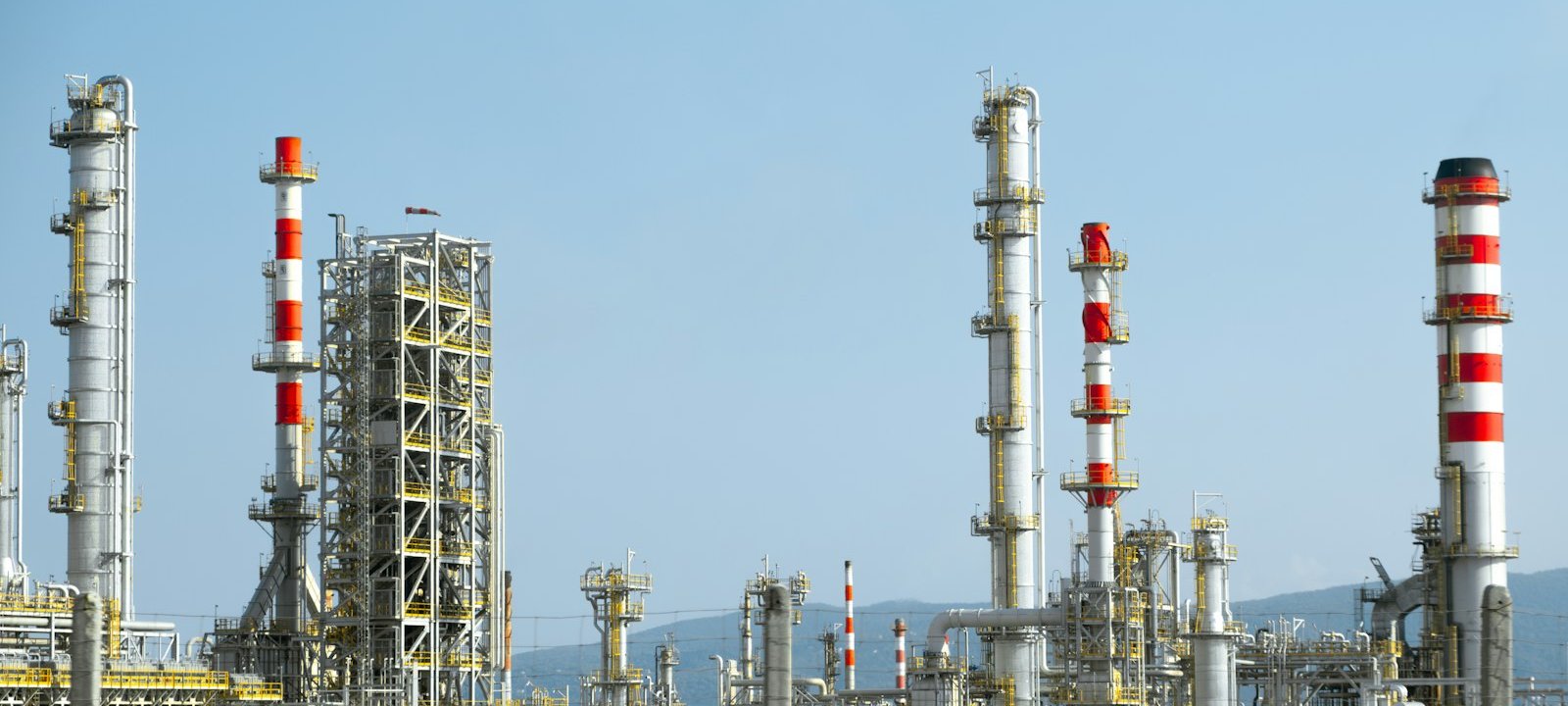 Edible Oil industry