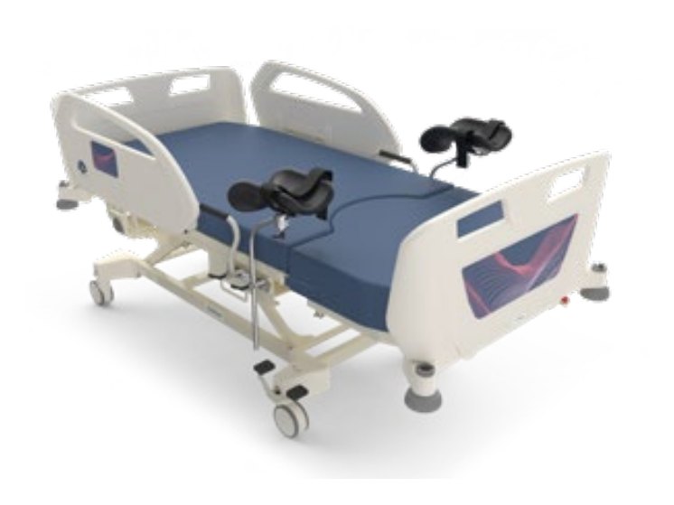 Maternity (LDRP) Beds